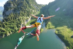 九游网页版官网入口-日本马术协会建立马匹基因数据库，促进马匹选育与训练。，日本赛马马种